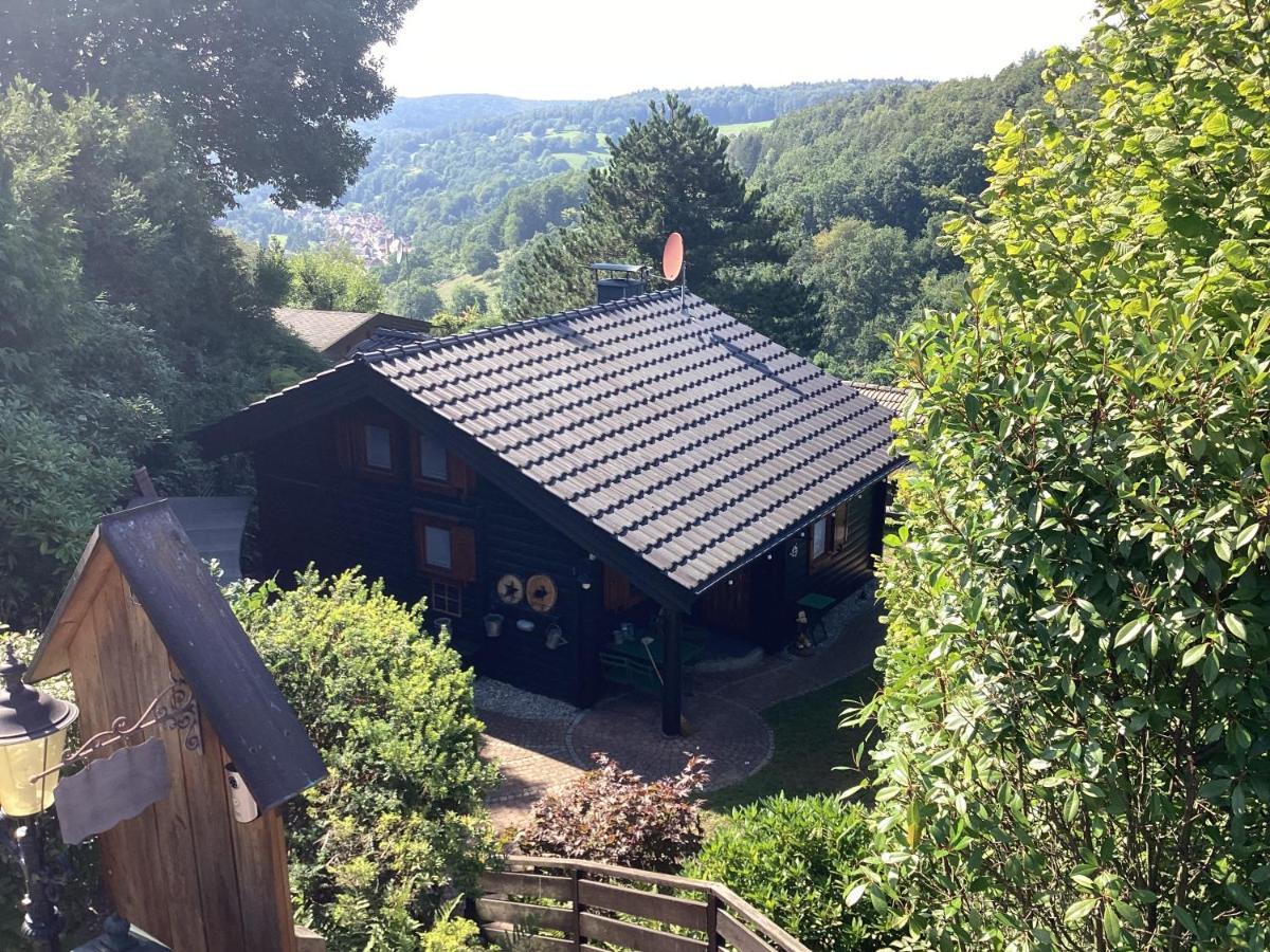 Chalet Spessart Dammbach المظهر الخارجي الصورة
