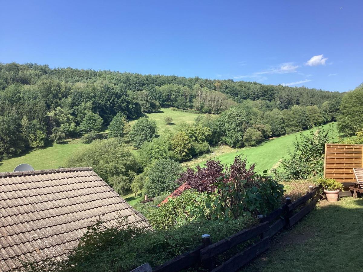 Chalet Spessart Dammbach المظهر الخارجي الصورة