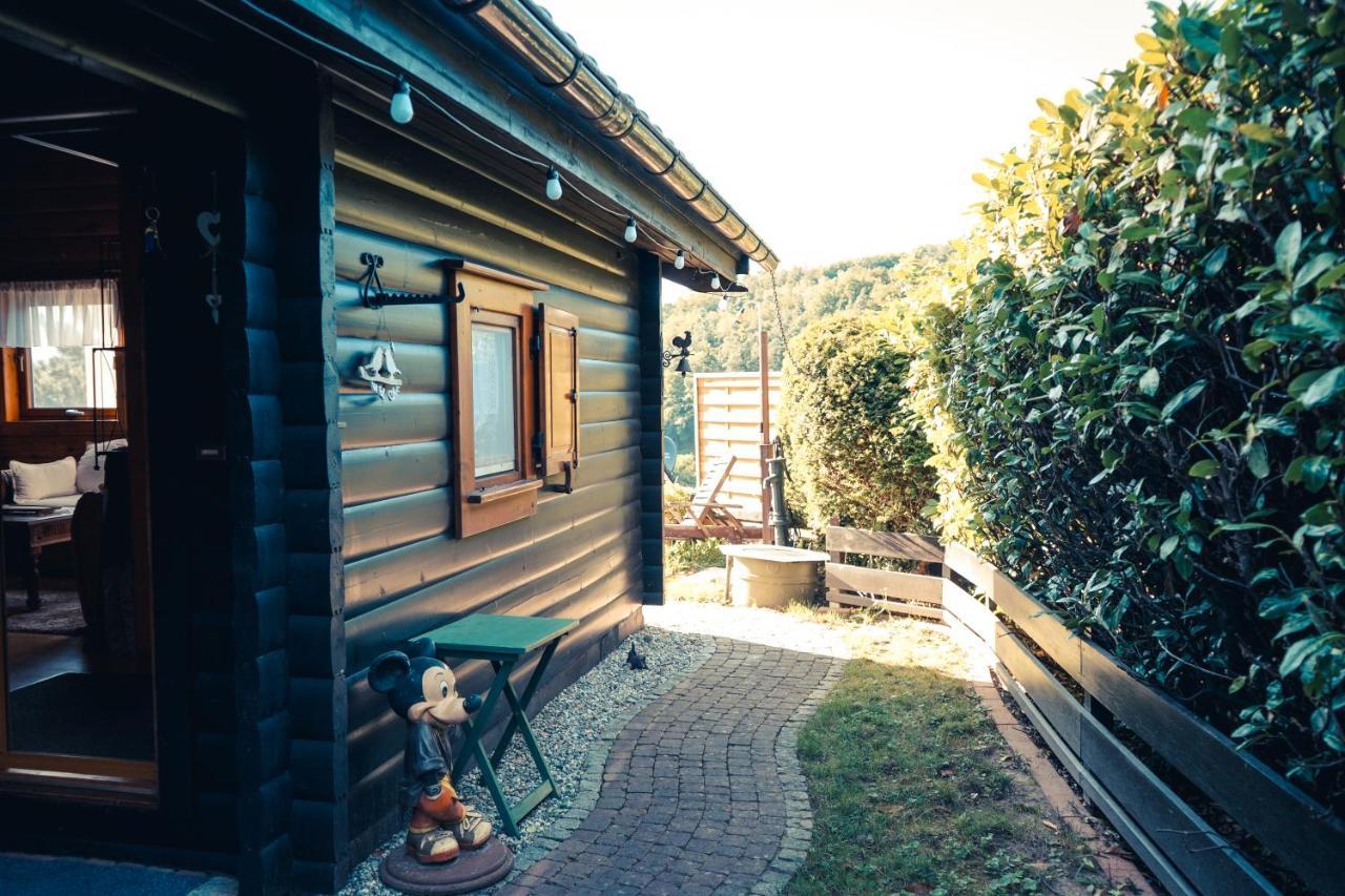 Chalet Spessart Dammbach المظهر الخارجي الصورة