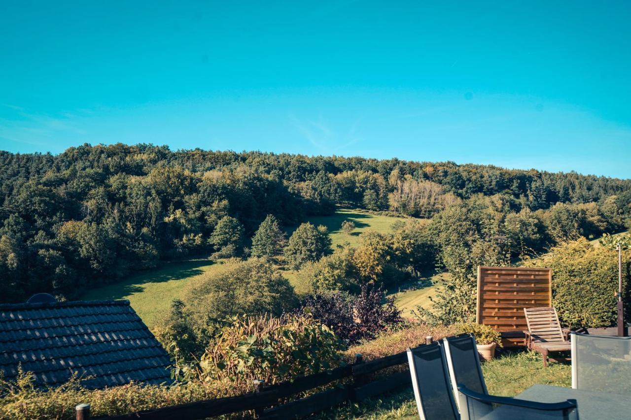 Chalet Spessart Dammbach المظهر الخارجي الصورة