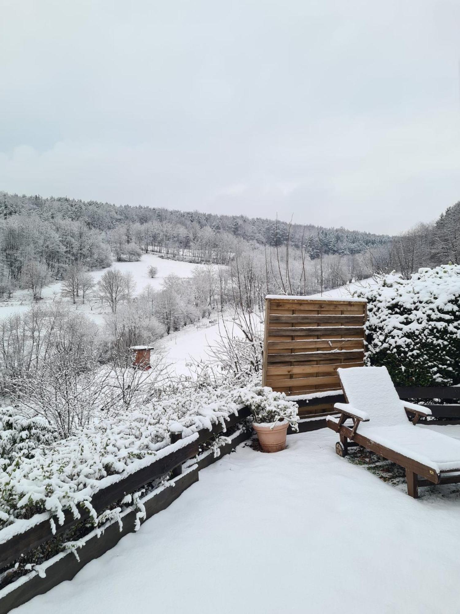 Chalet Spessart Dammbach المظهر الخارجي الصورة