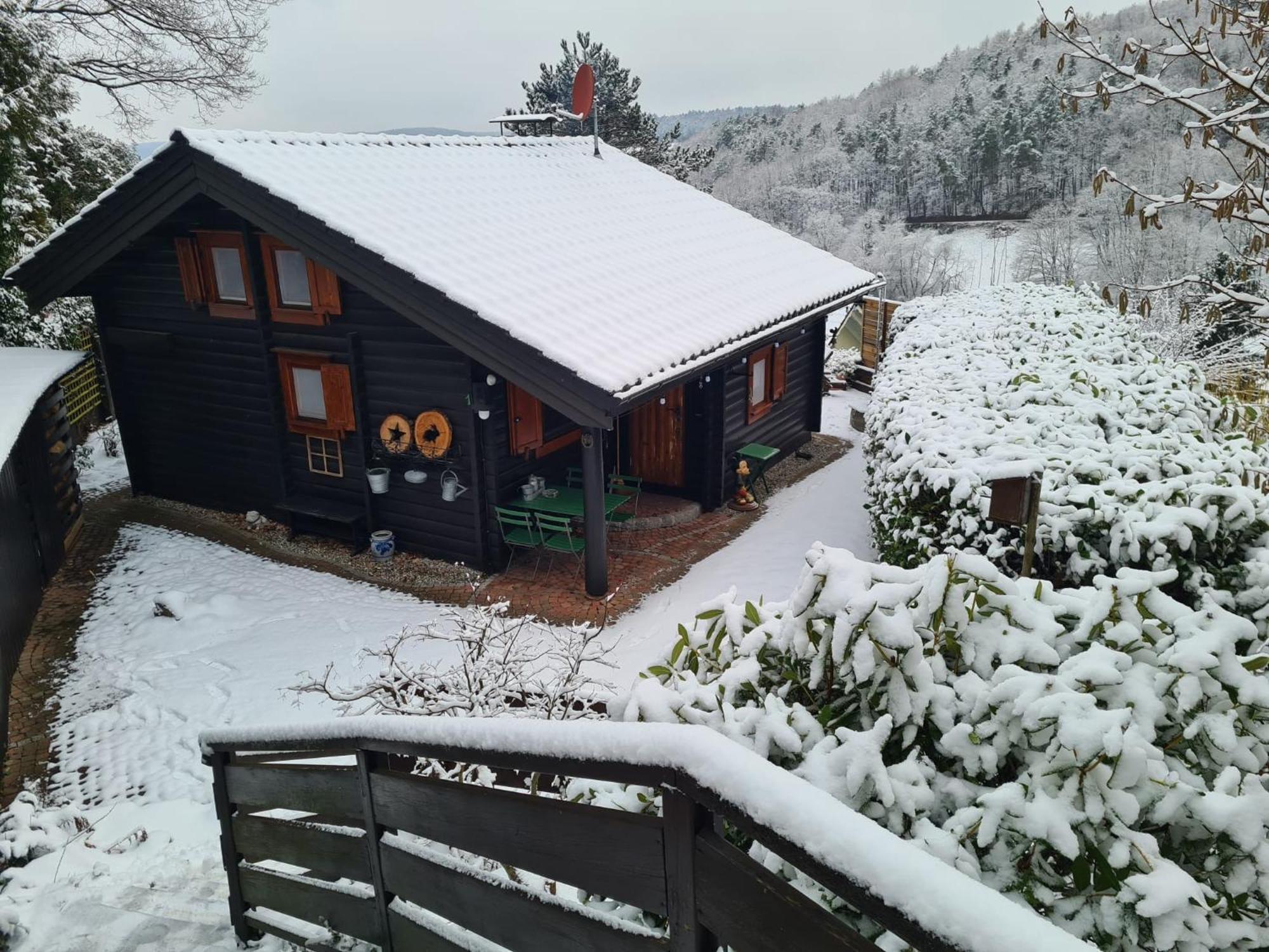 Chalet Spessart Dammbach المظهر الخارجي الصورة